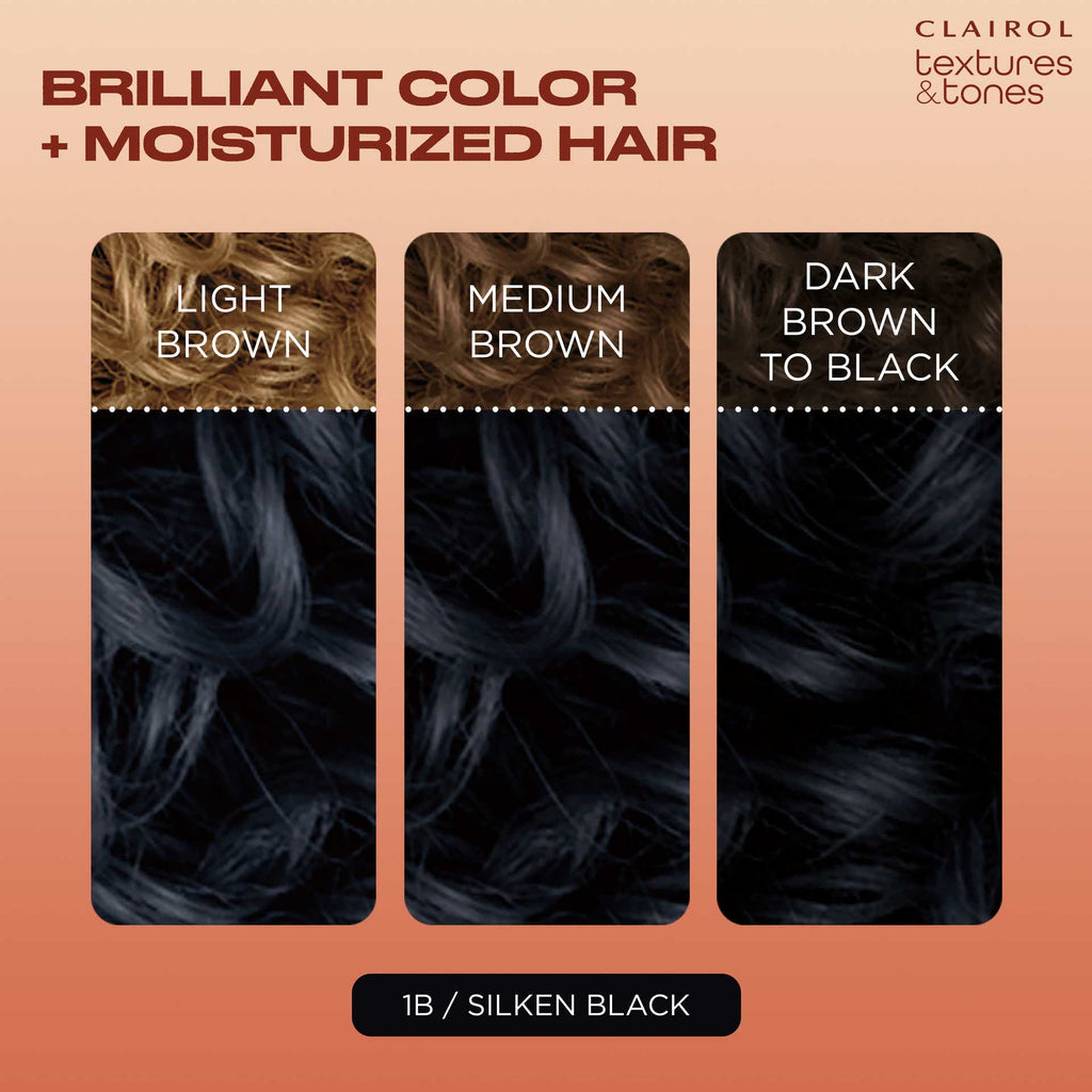 Clairol Textures & Tones 1B Silken Black