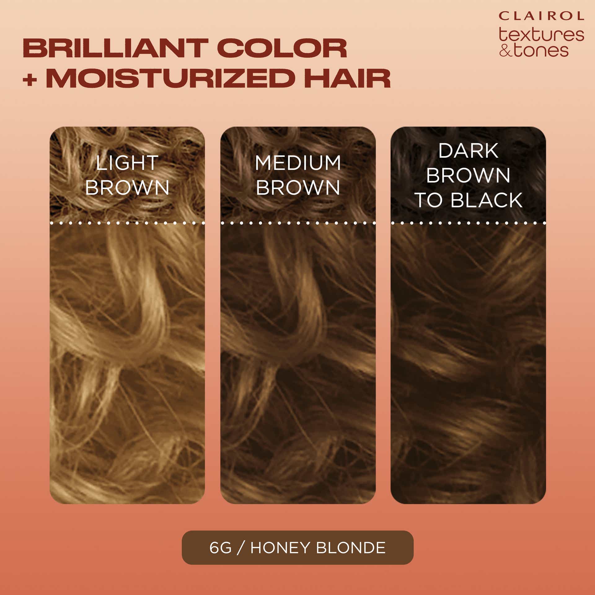 Clairol Textures & Tones 6G Honey Blonde