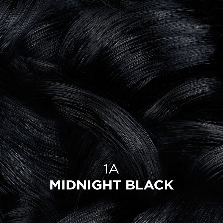 Clairol Beautiful Collections Advanced Gray 1A Midnight Black